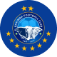 Enyimba FC logo